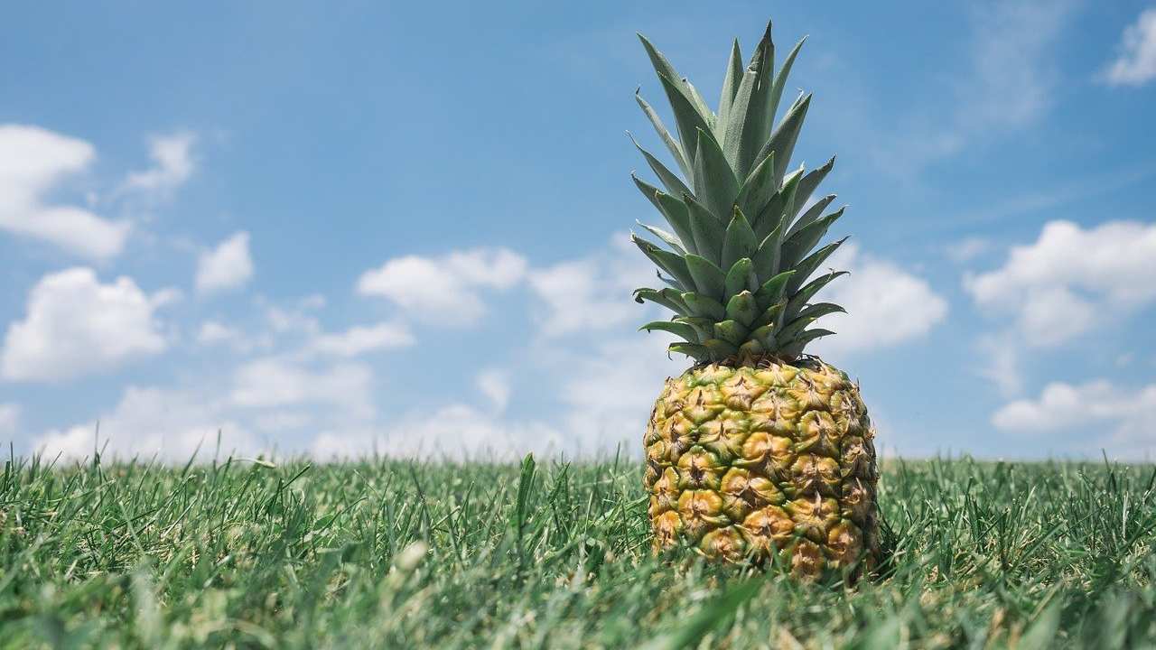 ananas insostenibile ambiente