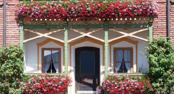 Piante profumatissime: sono queste da tenere sempre in giardino