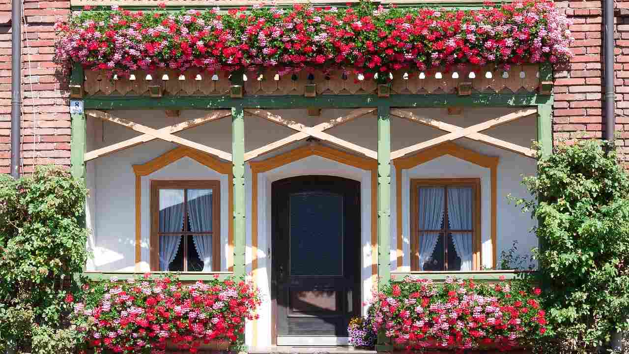 Fiori profumati balcone