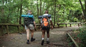 Erbe aromatiche ed erbette, sai riconoscerle in un bosco? La pratica del foraging