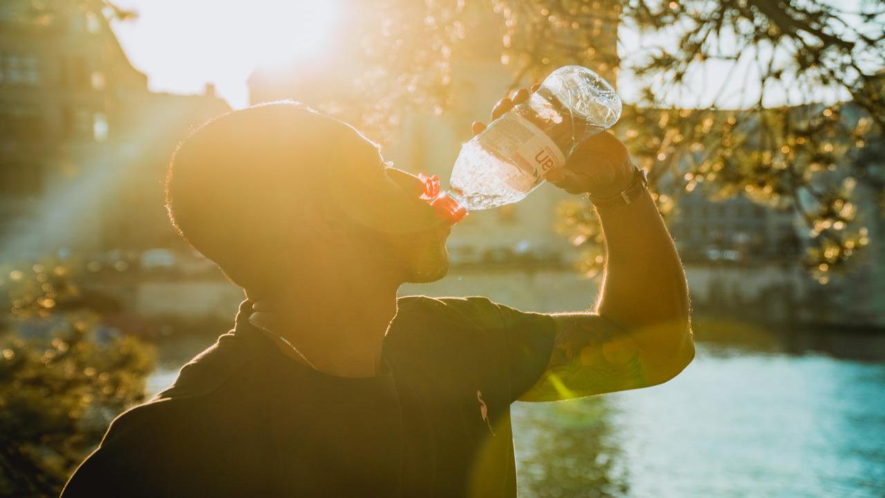 acqua bottiglia plastica rischi sole