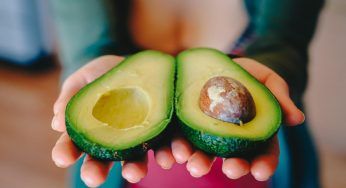 Avocado, puoi piantarlo direttamente a casa tua: questa è la tecnica più adatta