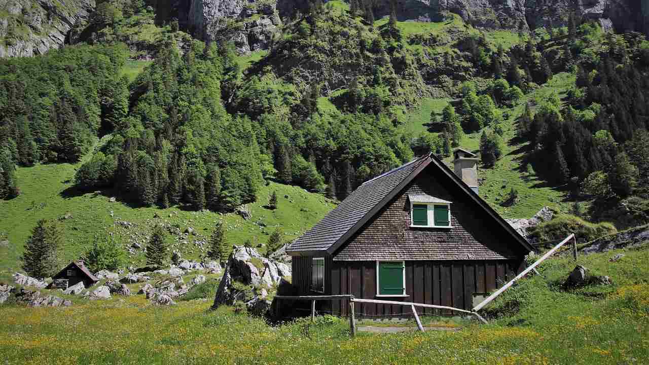 legno sterno consigli