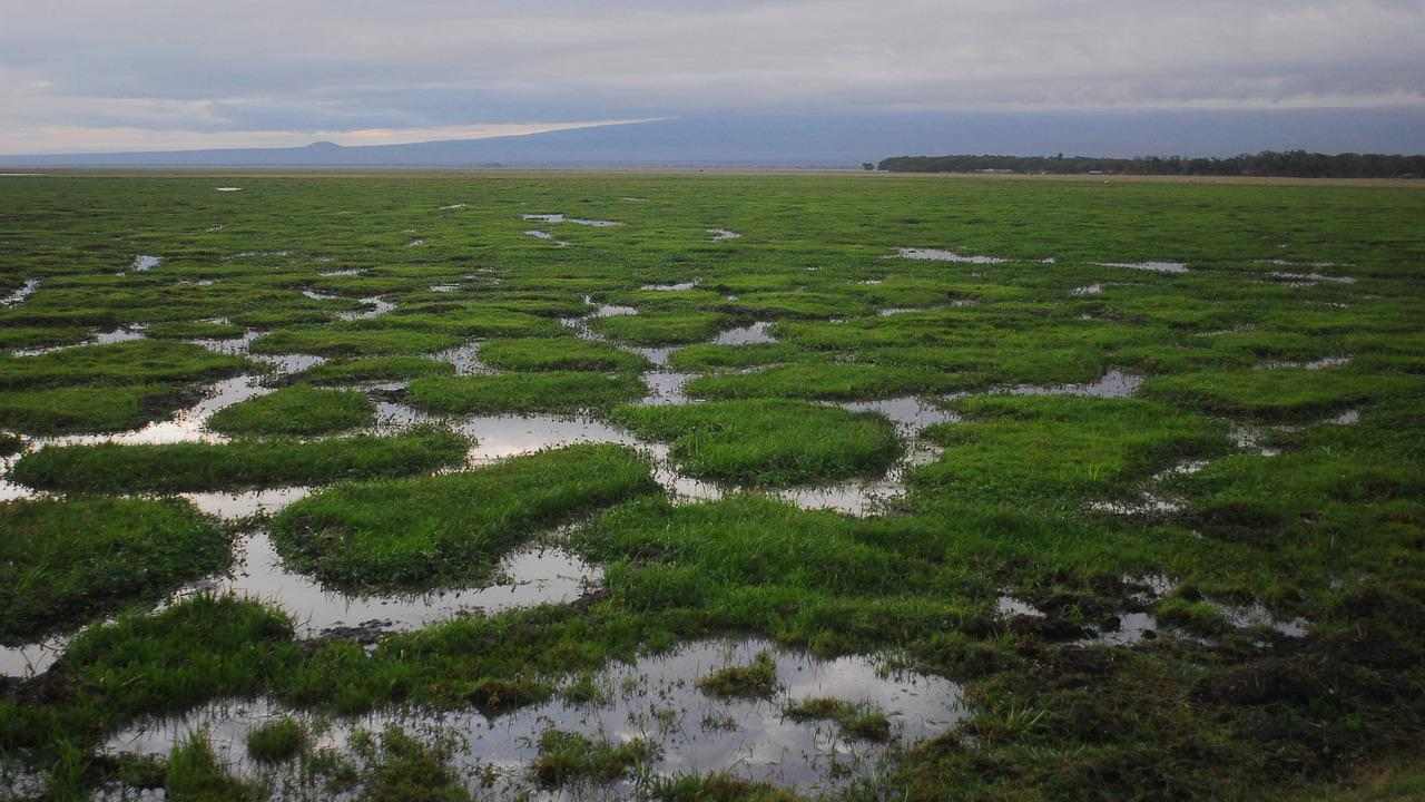 crisi climatica settore redditizio