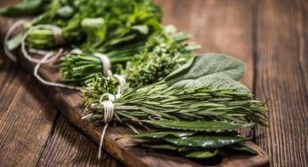 Erbe aromatiche da balcone: la selezione da coltivare in estate per insaporire le tue pietanze