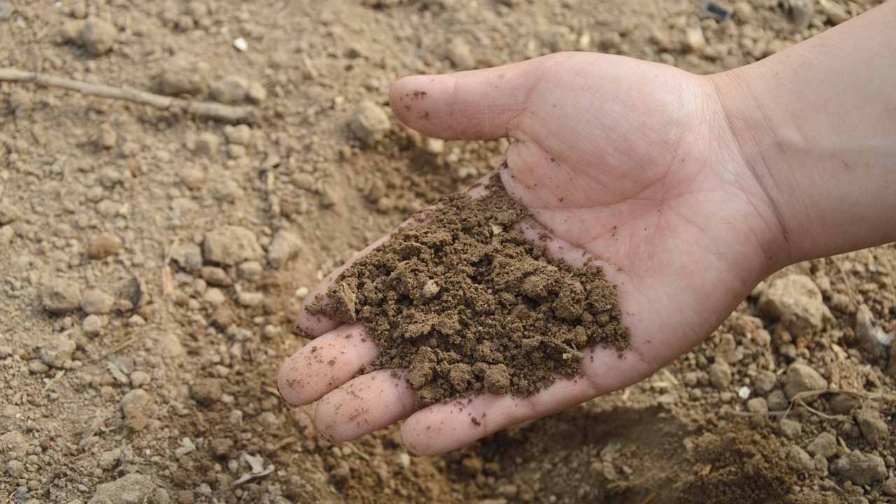 fertilizzanti fai da te sbriciolato