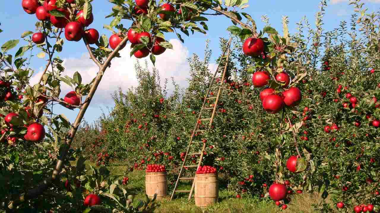 agevolazione agricoltura