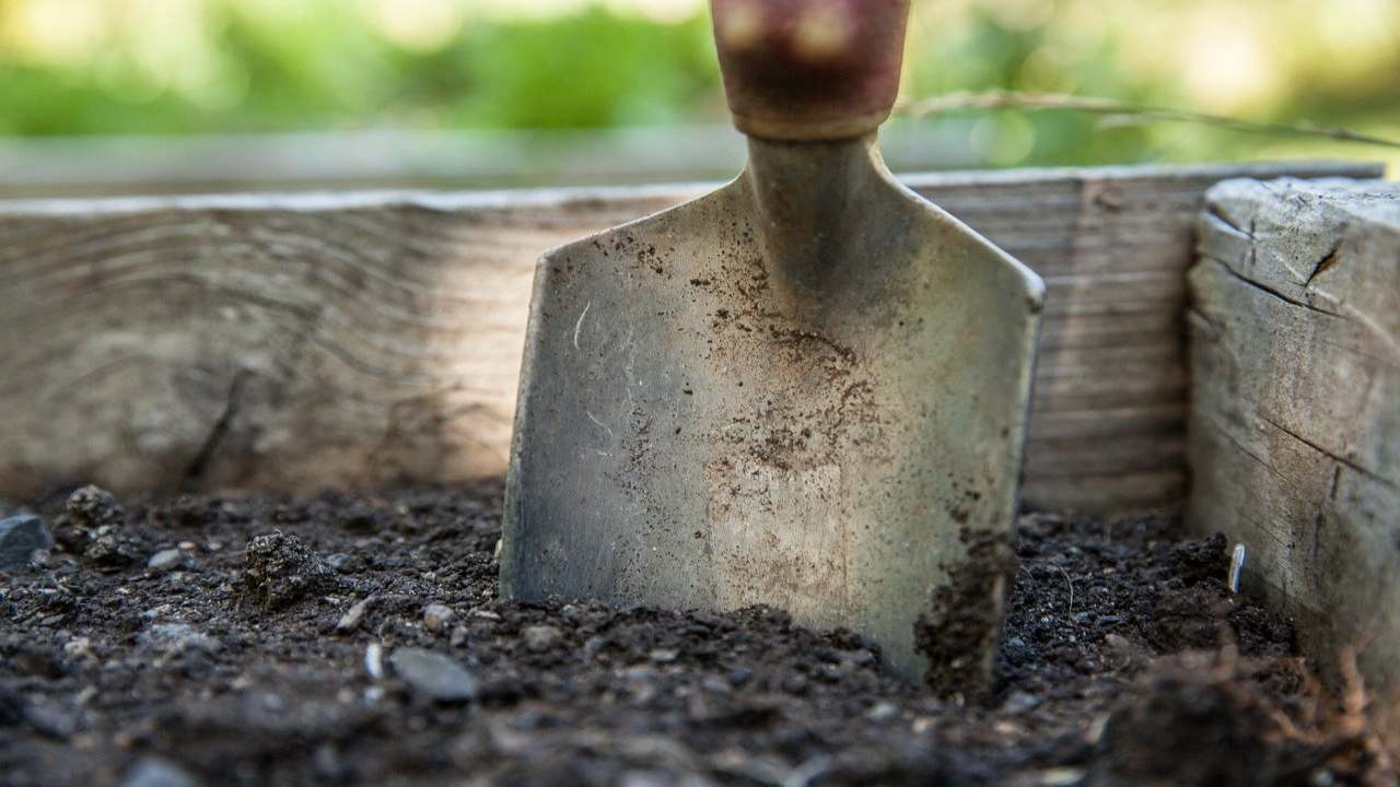 vanga giardino trucchi averlo sempre curato e fiorito