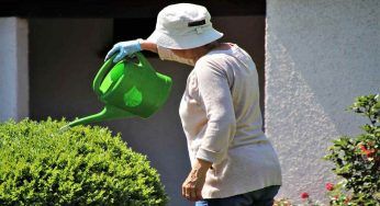 Piante innaffiate a regola d’arte: sono questi i 10 errori da evitare. Pronti a spuntarla!