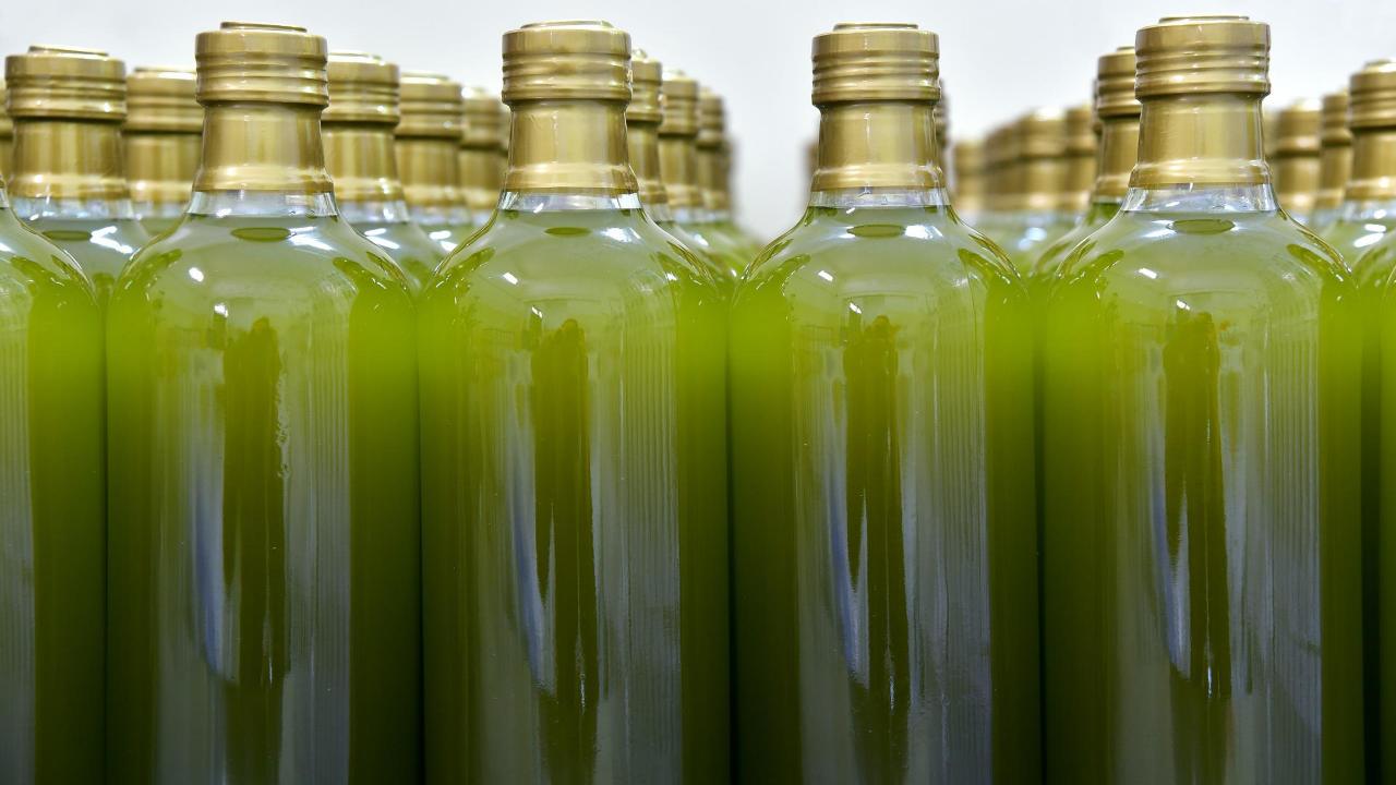 crisi produzione olio oliva