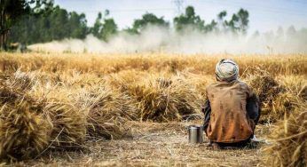 L’India blocca le esportazioni di grano. Le paure diventano realtà, i motivi della scelta