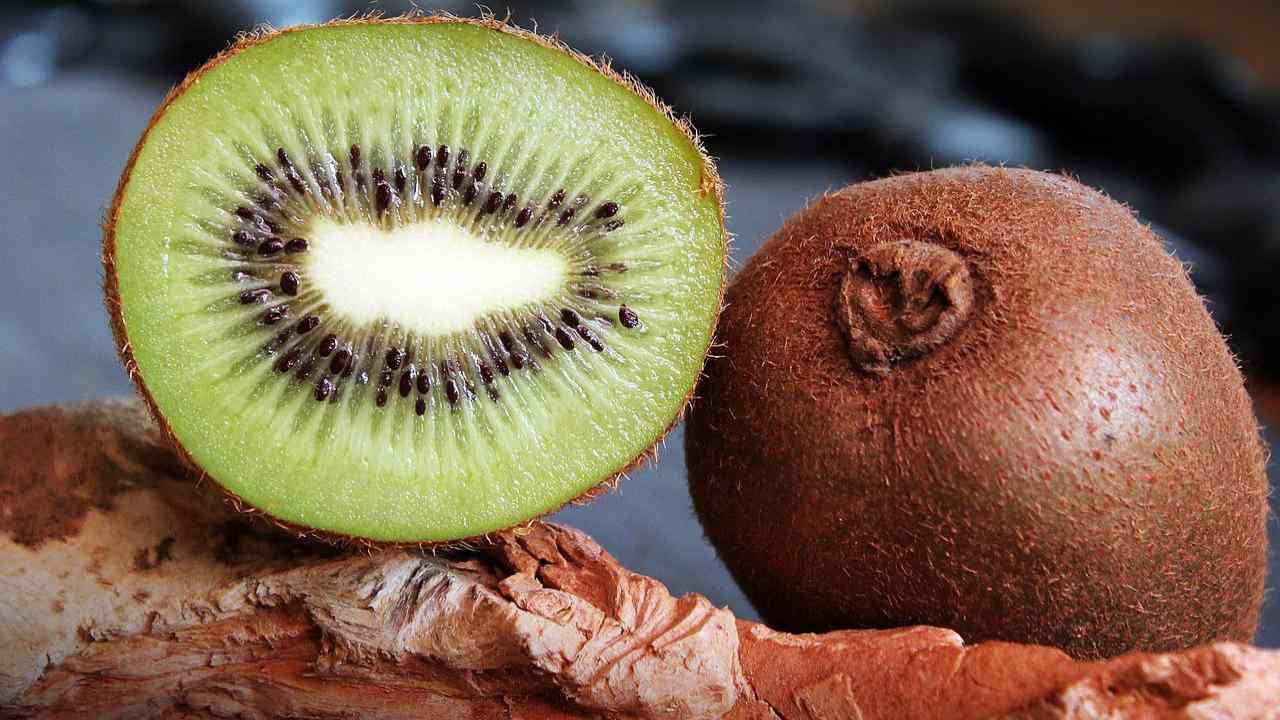 coltivare kiwi casa