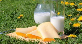 Formaggio a fette: cosa c’è realmente dentro? La verità sugli ingredienti