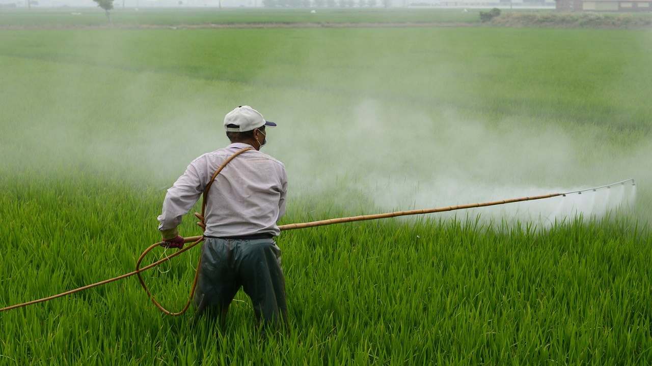 pesticida contadino coltivazioni ortaggi UE