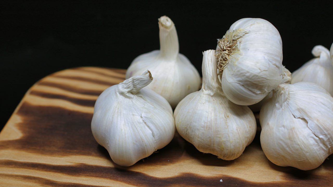 aglio uso giardino