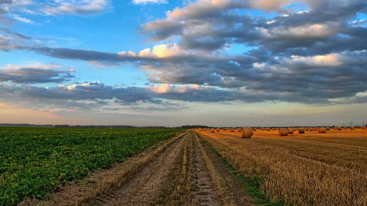 terreni agricoli come comprarli