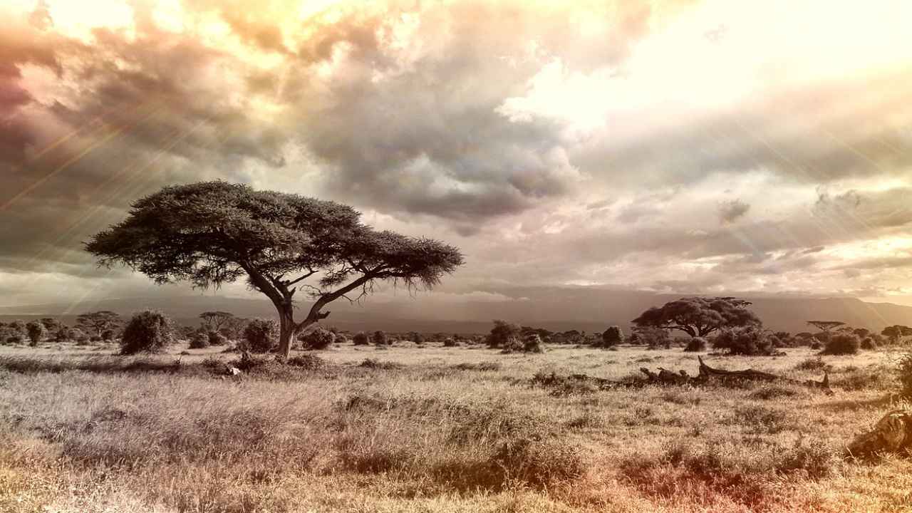 grande muraglia verde africana