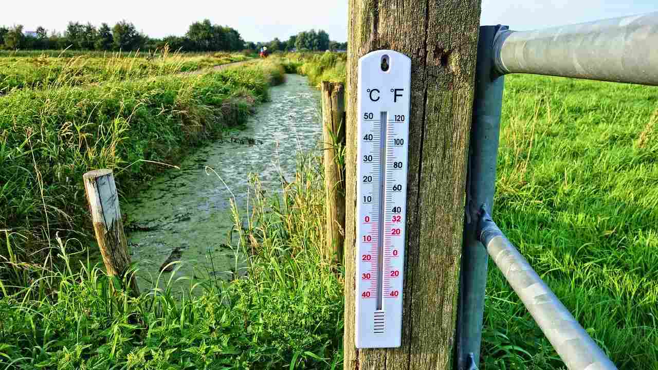 Cambiamento climatico scarseggia cibo