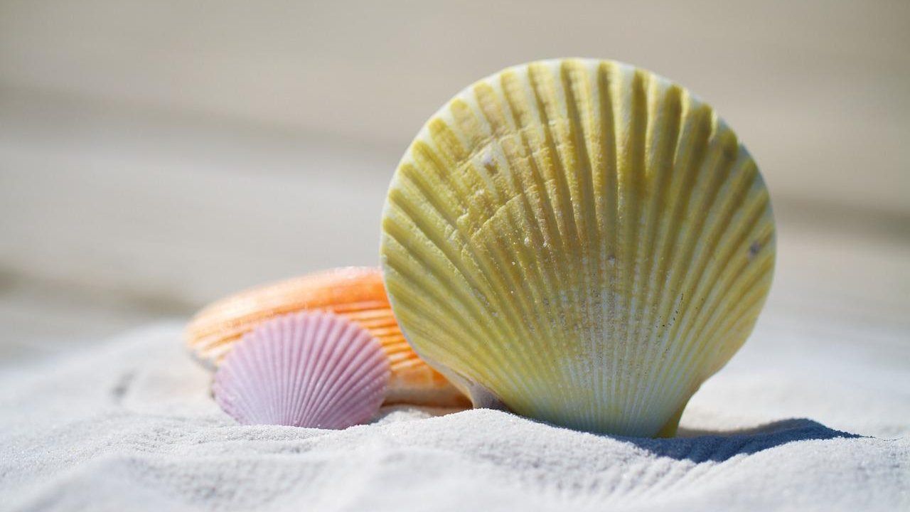 spiagge italiane maleducazione