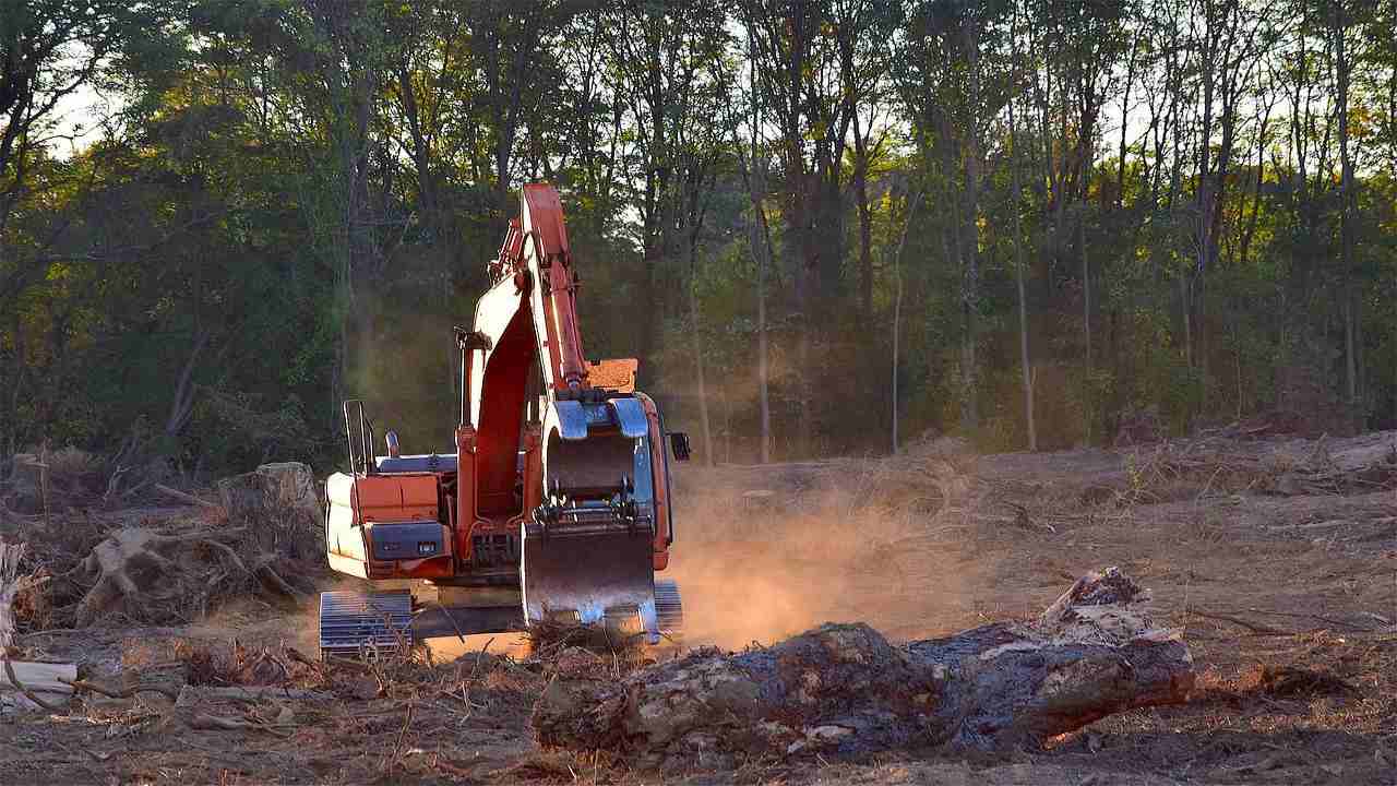 disboscamento fuori controllo brasile foresta amazzonica