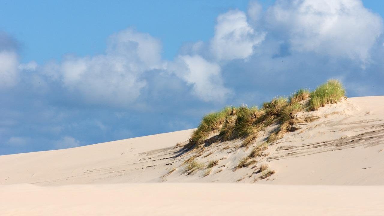 Dune litorale romano particolarità