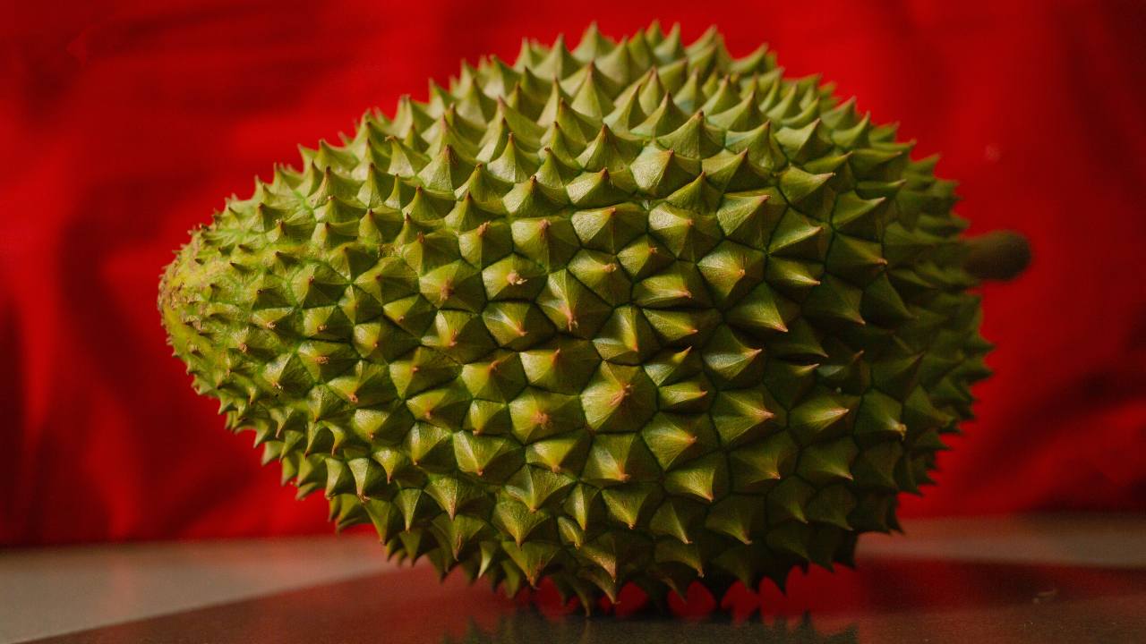 Durian frutto asiatico