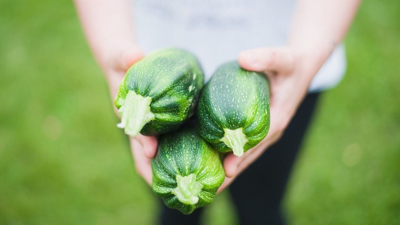 Zucchini verticali