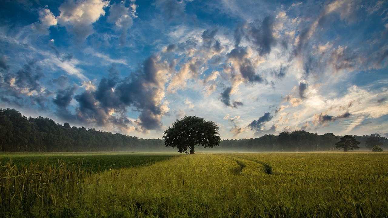 terreni agricoli boschivi