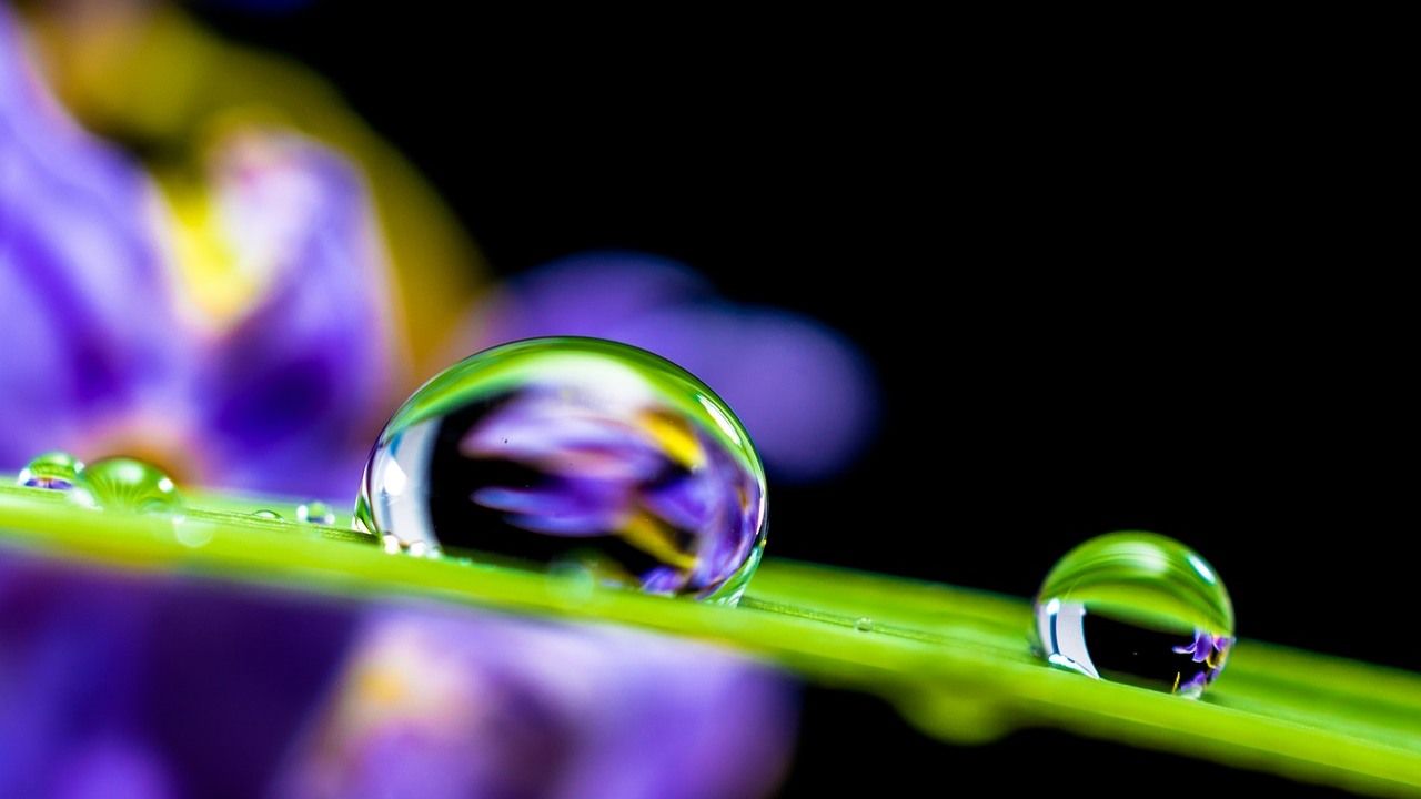 umidità acqua