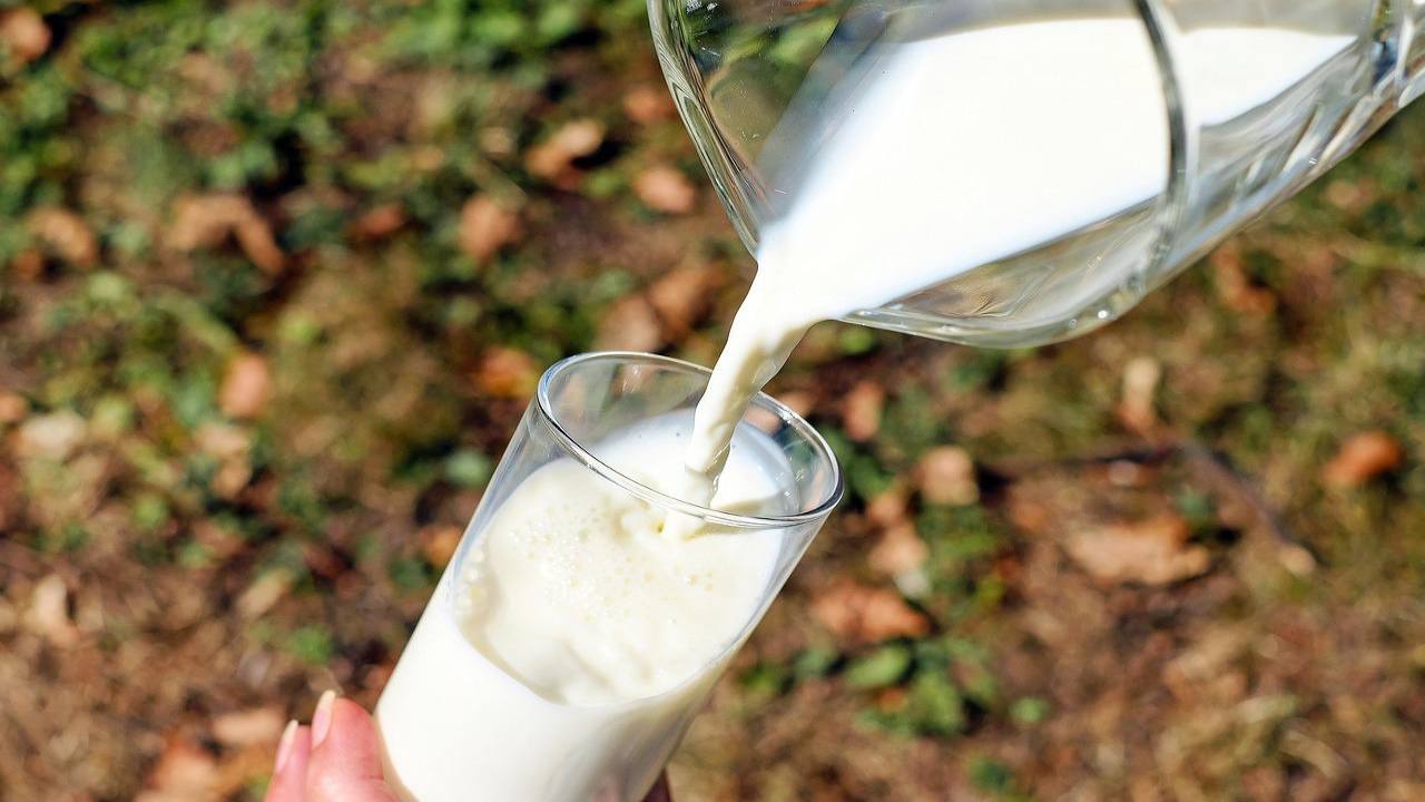 Latte in giardino bicchiere