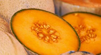 Semi di melone, conviene non buttarli: puoi utilizzarli in tantissimi modi
