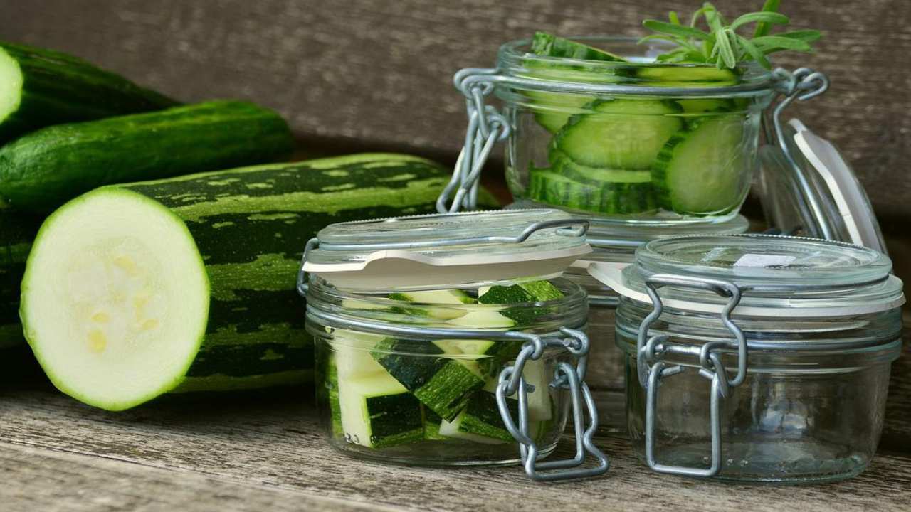 zucchine ortaggi