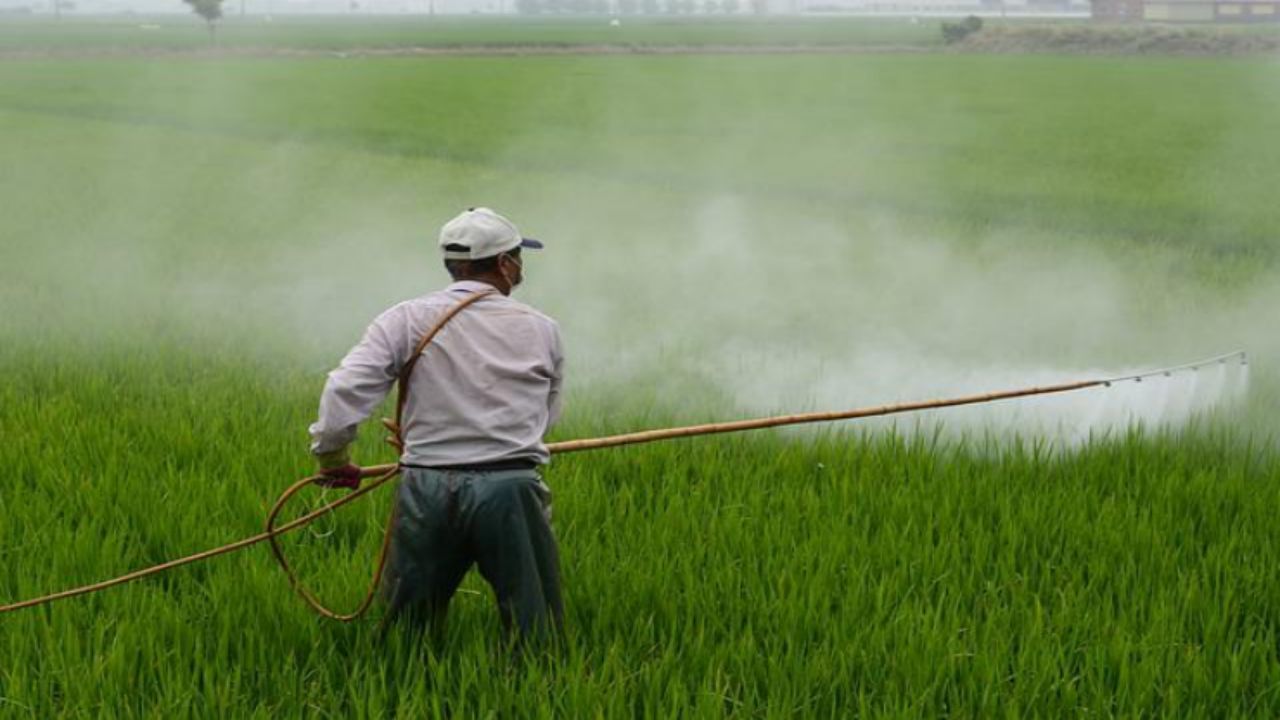 unione europea allarme utilizzo pesticidi