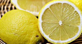 Limoni che si ammuffiscono, come evitare questo fastidioso fenomeno