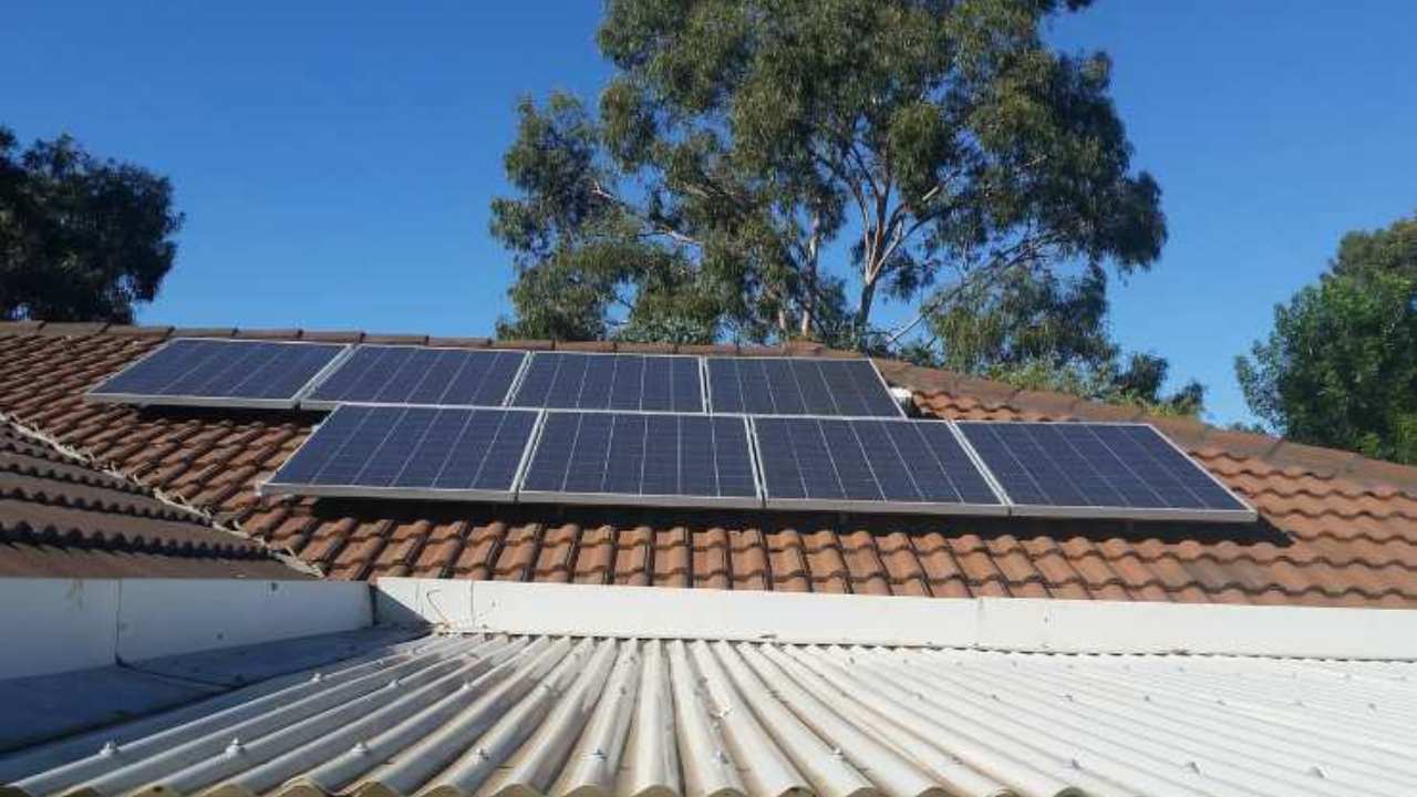 Pannelli fotovoltaici con alghe