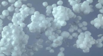 Nova Foam: riciclando il polistirolo si ottiene del legno: il progetto