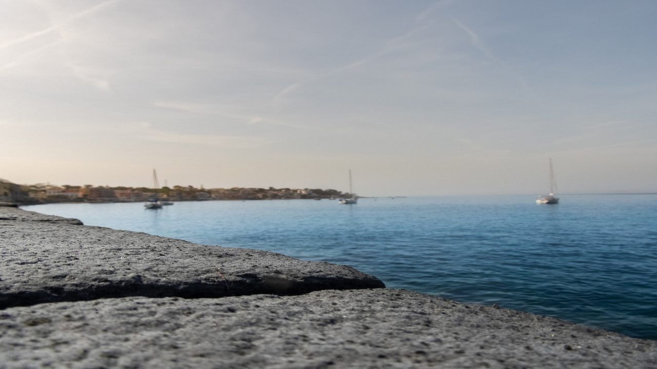 piccoli tartaruga spiaggia ischia