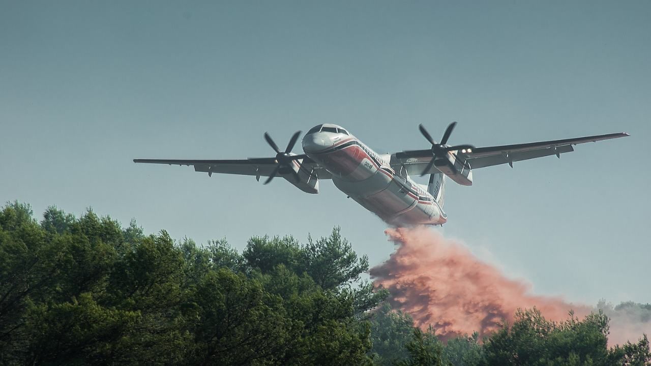 capre pecore animali antincendio