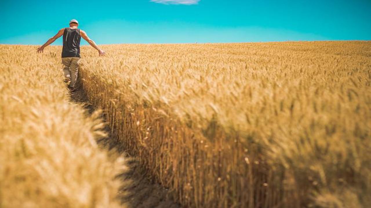 rotazione agricola benefici