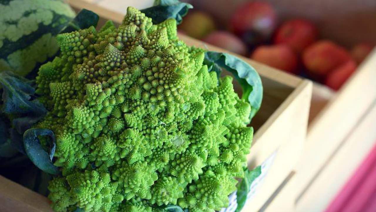 broccolo romanesco forma