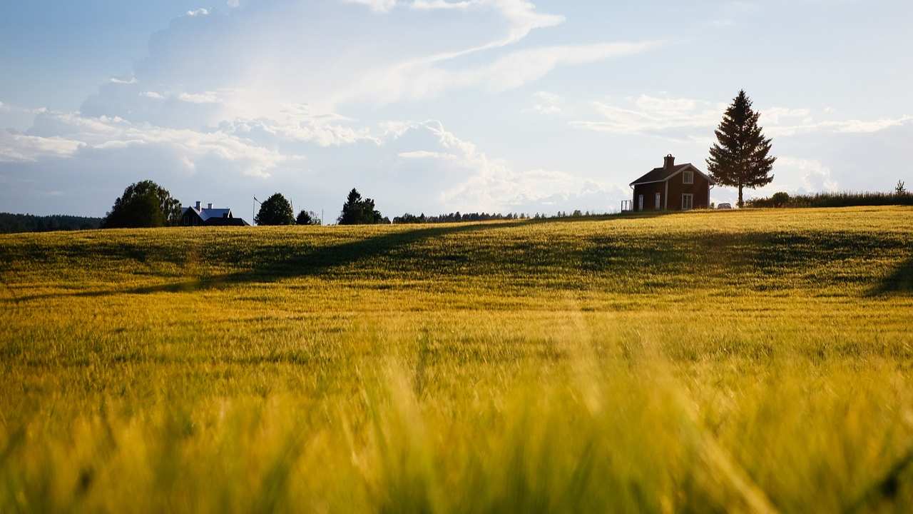 terreno abbandonato metodi sfruttarlo