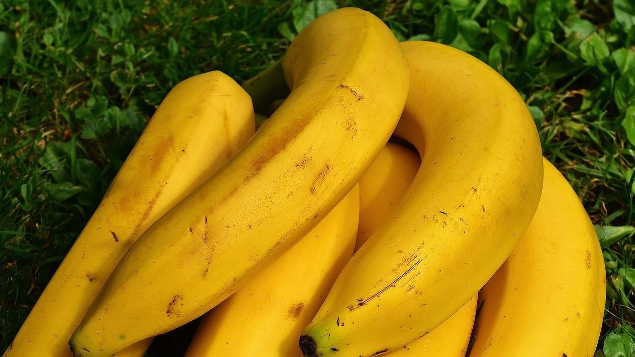 banane e chiodi per le piante