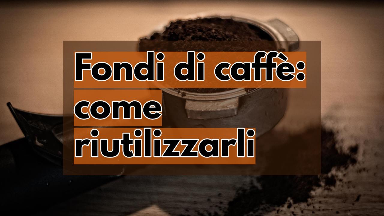 fondi caffè riutilizzi