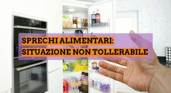 Spreco alimentare, ogni anno vengono buttate 153,5 mlm di tonnellate