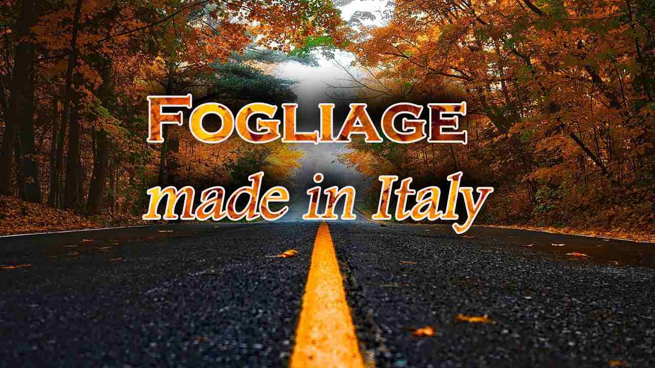 boschi italiani vedere fogliage