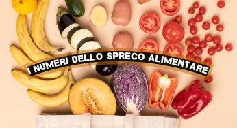 Spreco alimentare, i numeri sono agghiaccianti: il 30% di cibo buttato nella spazzatura