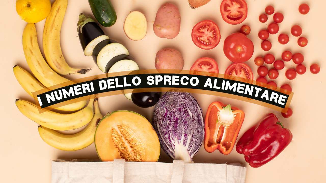 spreco alimentare