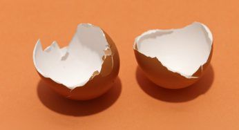 Gusci di uova bolliti, riutilizzarli così è davvero molto utile