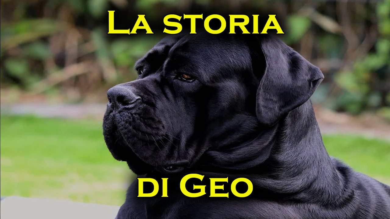 geo byron storia