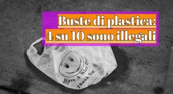 Buste biodegradabili, 4 su 10 non lo sono: il dato agghiacciante